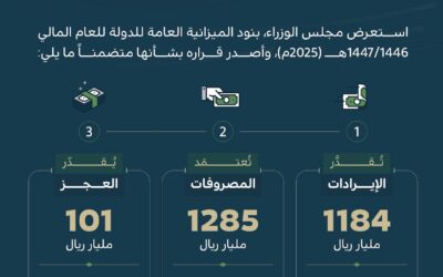 قراءة في تقرير الدولة المخصصة للميزانية العامة للدولة لعام ٢٠٢٥